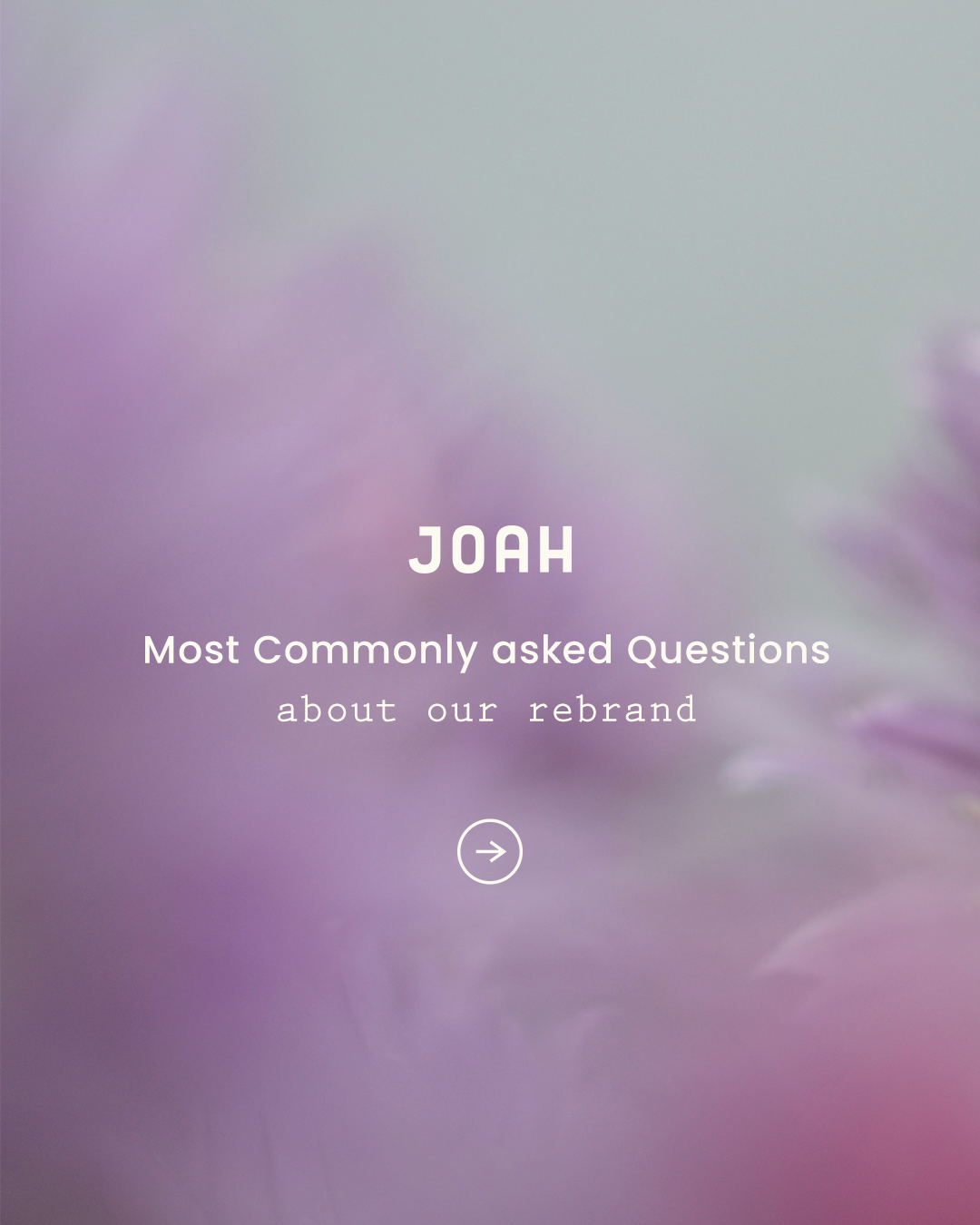 1017 Rebrand Q&A Social Post-4 4_5 a