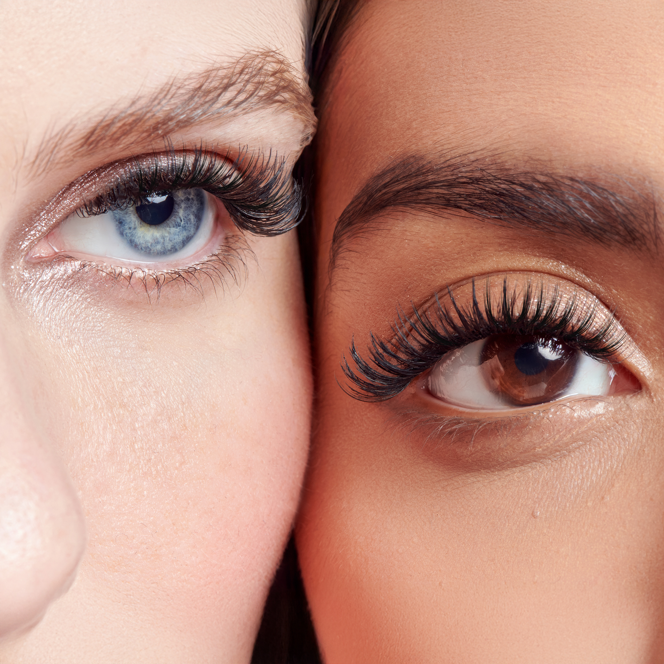 10.21.2025_Falscara Mini96335 2